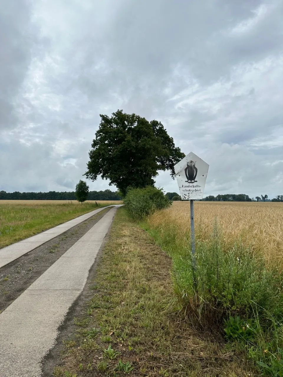 Landschaftsschutzgebiet